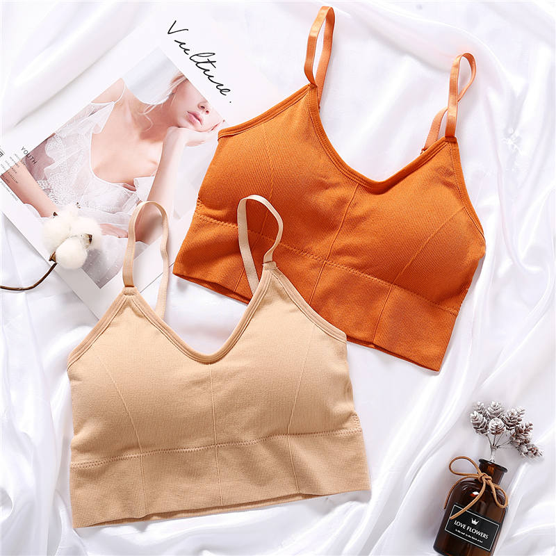 Women's Fashion Crop Top