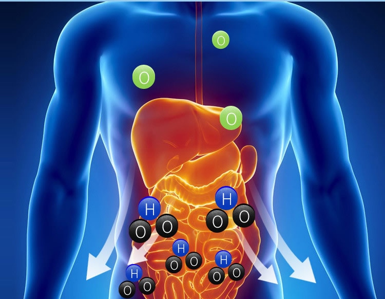 Portable Hydrogen Water Filter