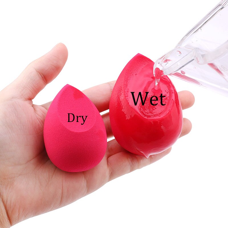 Makeup Sponge 5 Pcs Set